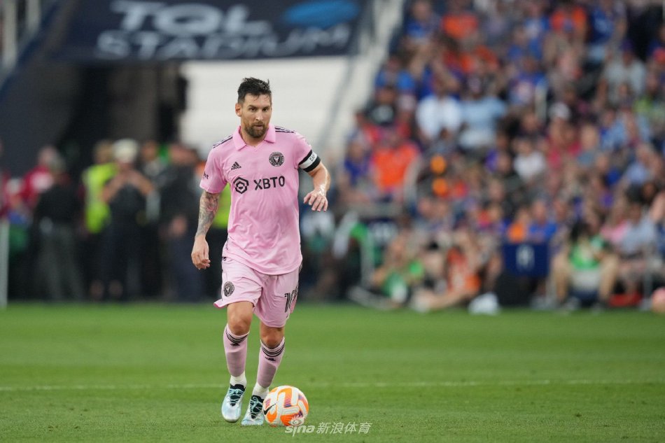 仅展示了 仅展示了